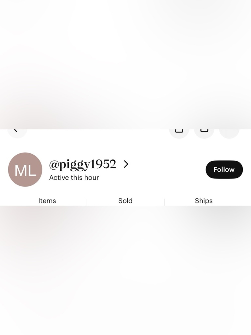 Custom bundle for piggy